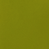 Parakeet