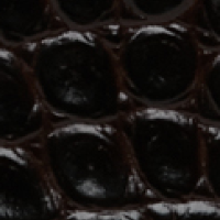 Close-up image of a dark, textured, glossy surface resembling crocodile skin; this could be the luxurious finish on a Victoria Beckham Mini B Pouch Bag In Croc Effect Espresso Leather or calf leather accessory.