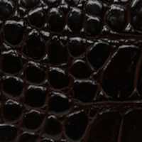 Close-up image of an embossed crocodile print on dark, glossy calf leather on the B Pouch Bag In Croc Effect Espresso Leather by Victoria Beckham, capturing its textured surface in exquisite detail.