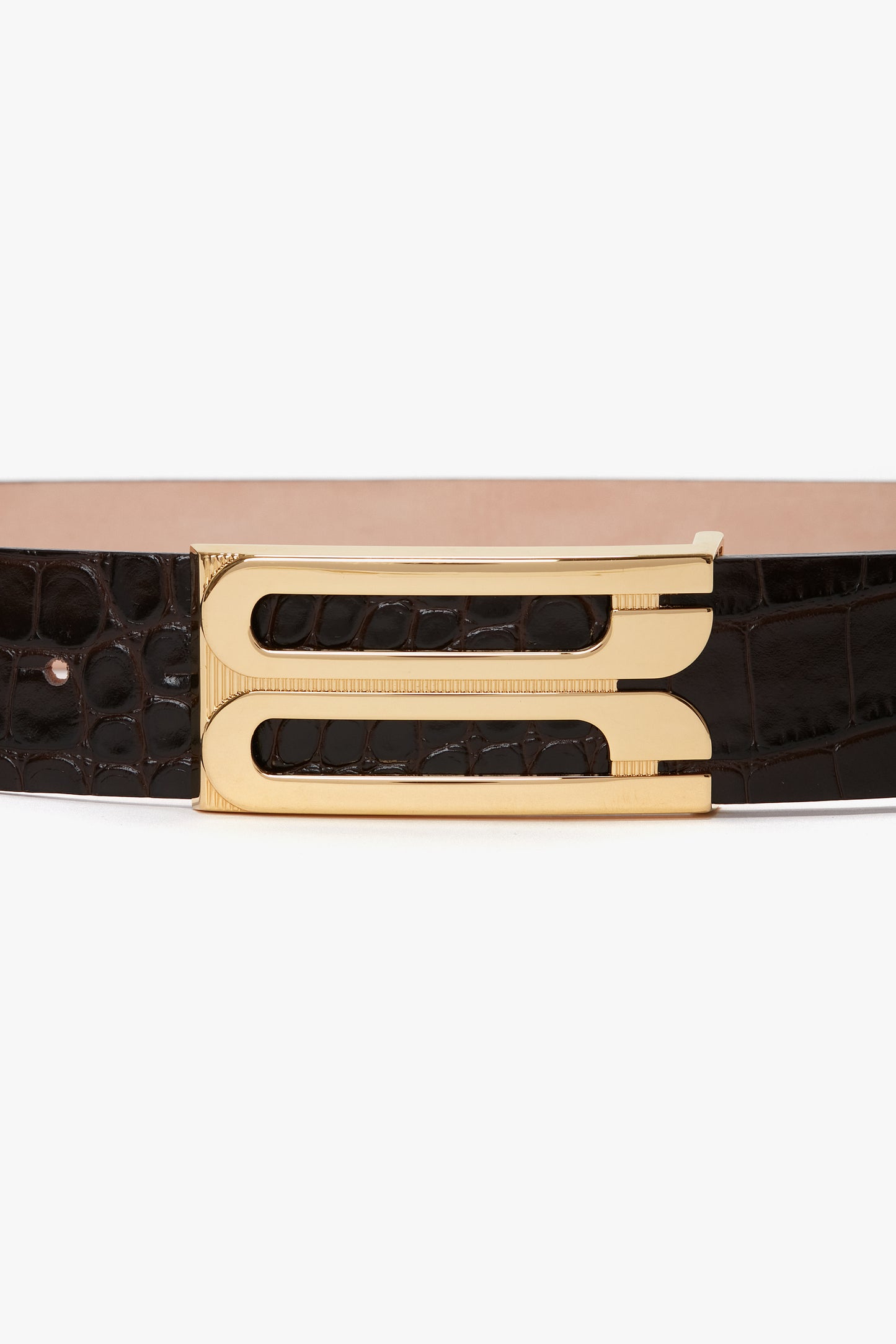 Jumbo Frame Belt In Espresso Croc Embossed Calf Leather